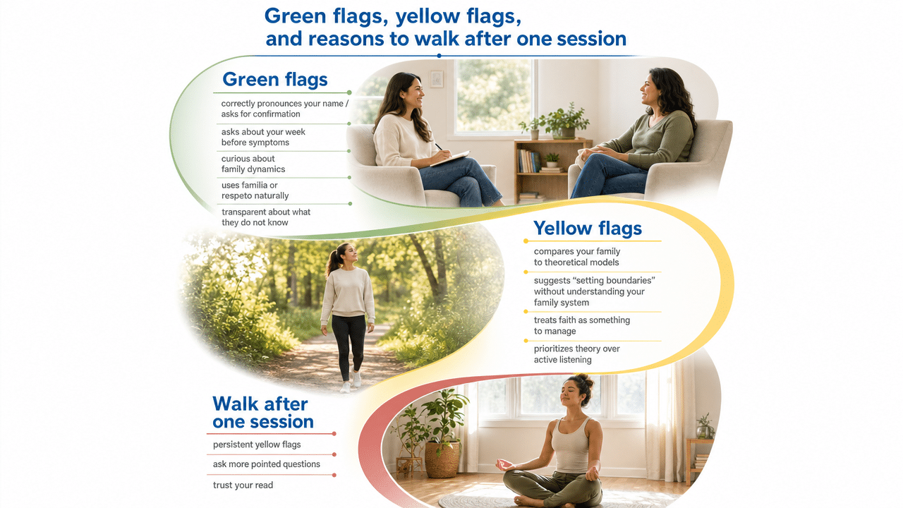 Visualize the green/yellow/red flag framework for vetting a therapist described in this section