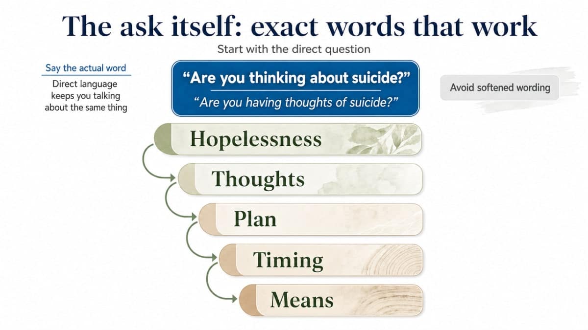 Visualize the clinician-derived cascading question sequence described in this section, so readers can see the flow from hopelessness to means at a glance